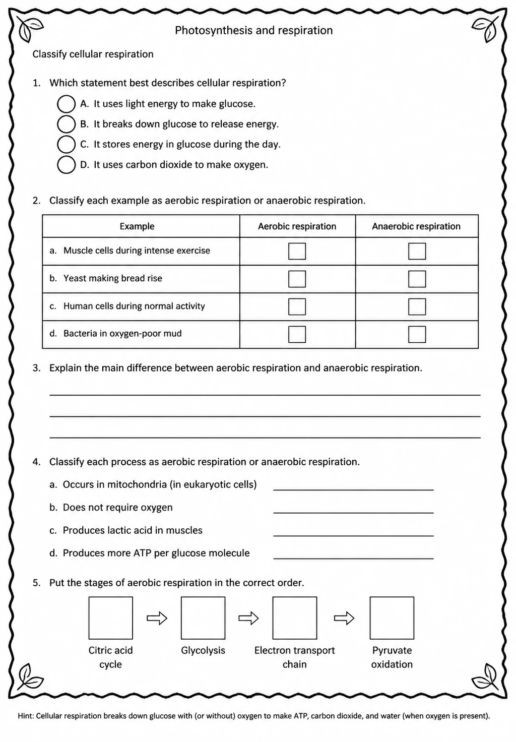 Classify cellular respiration