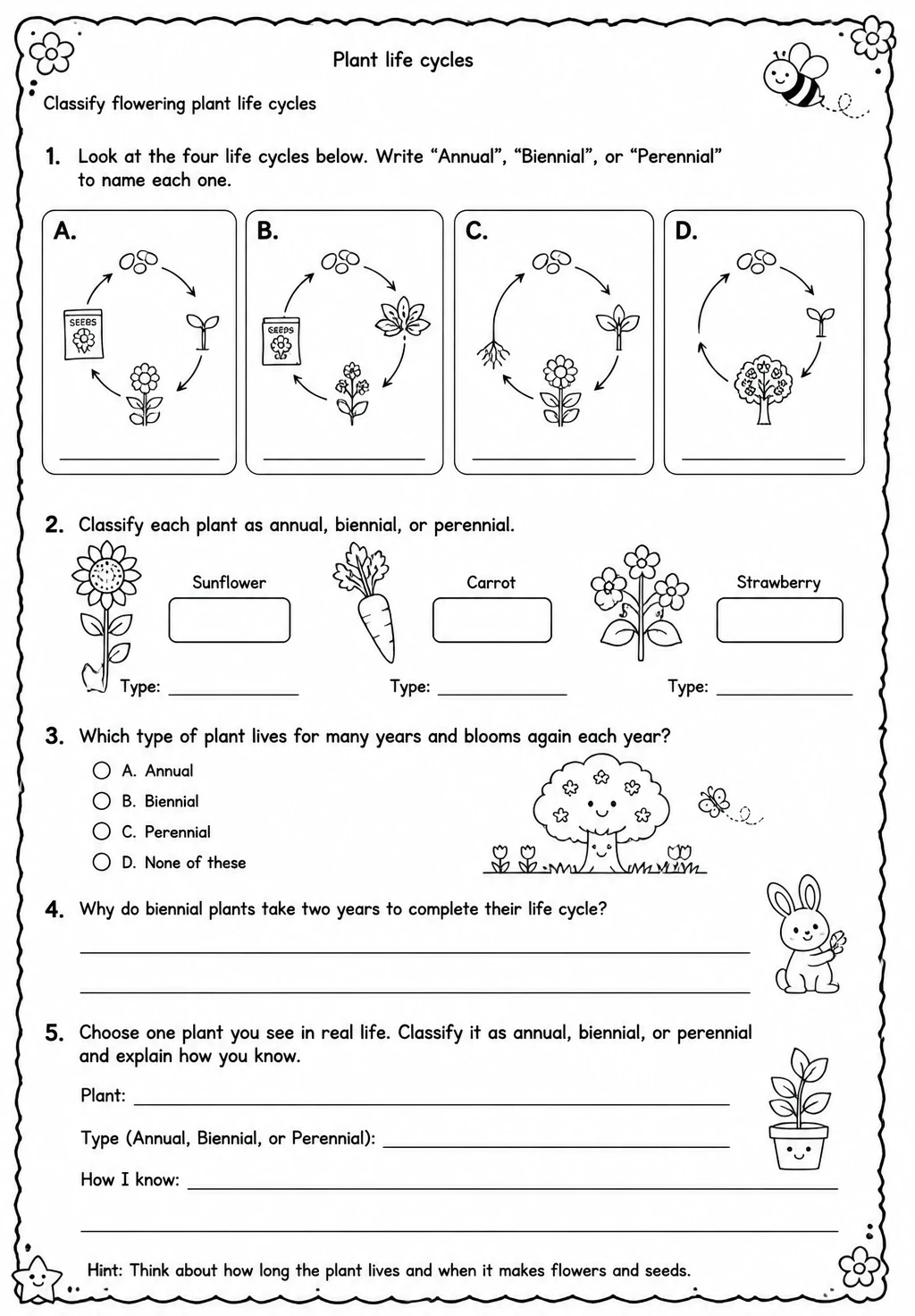 Classify flowering plant life cycles