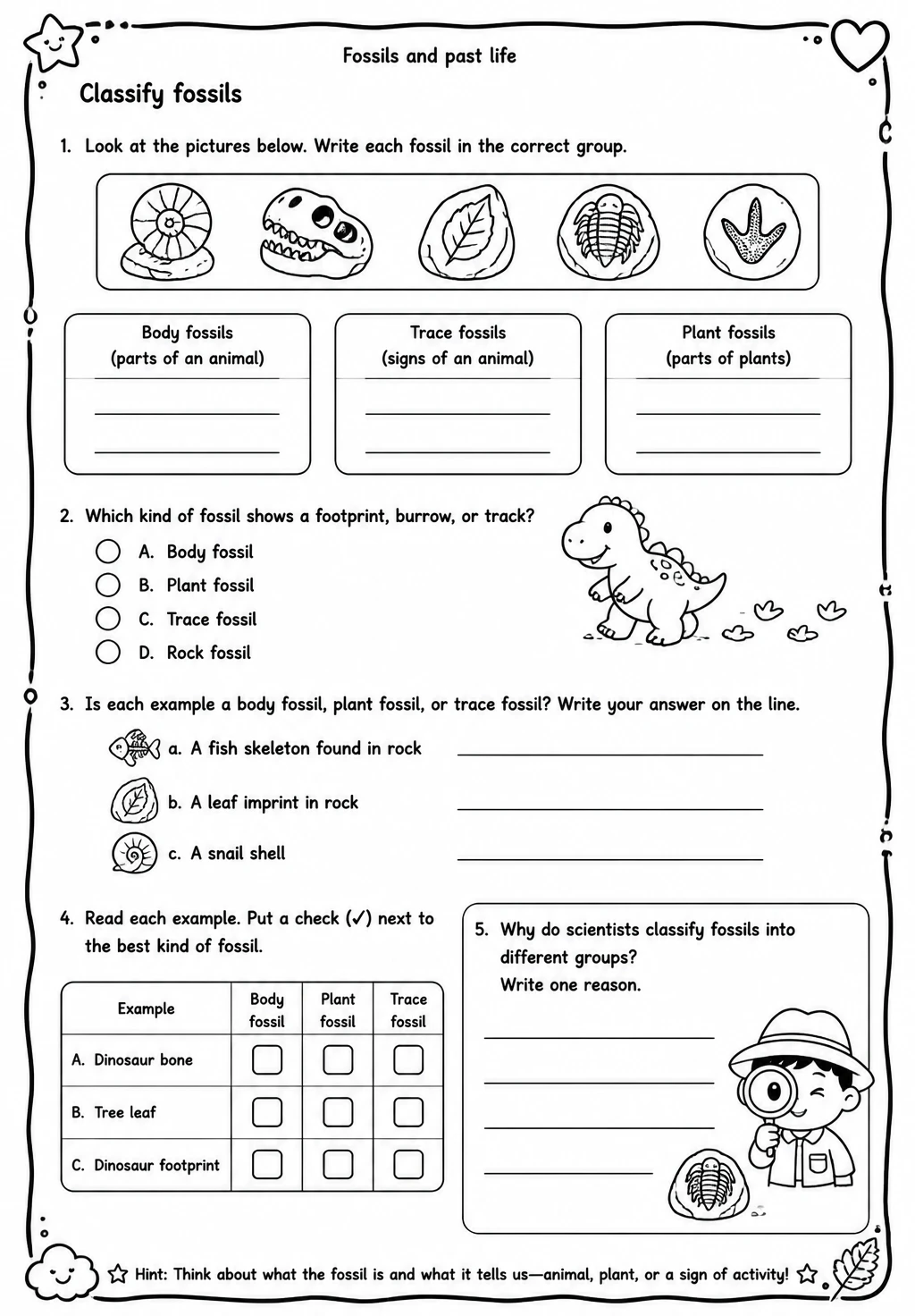 Classify fossils