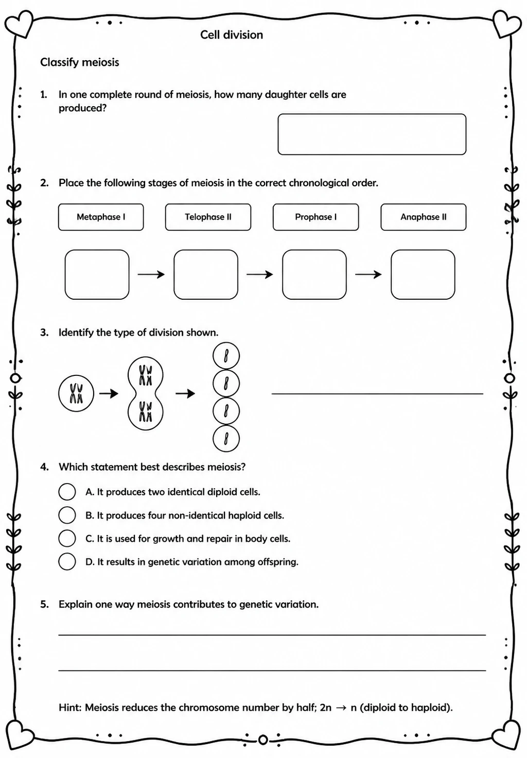 Classify meiosis