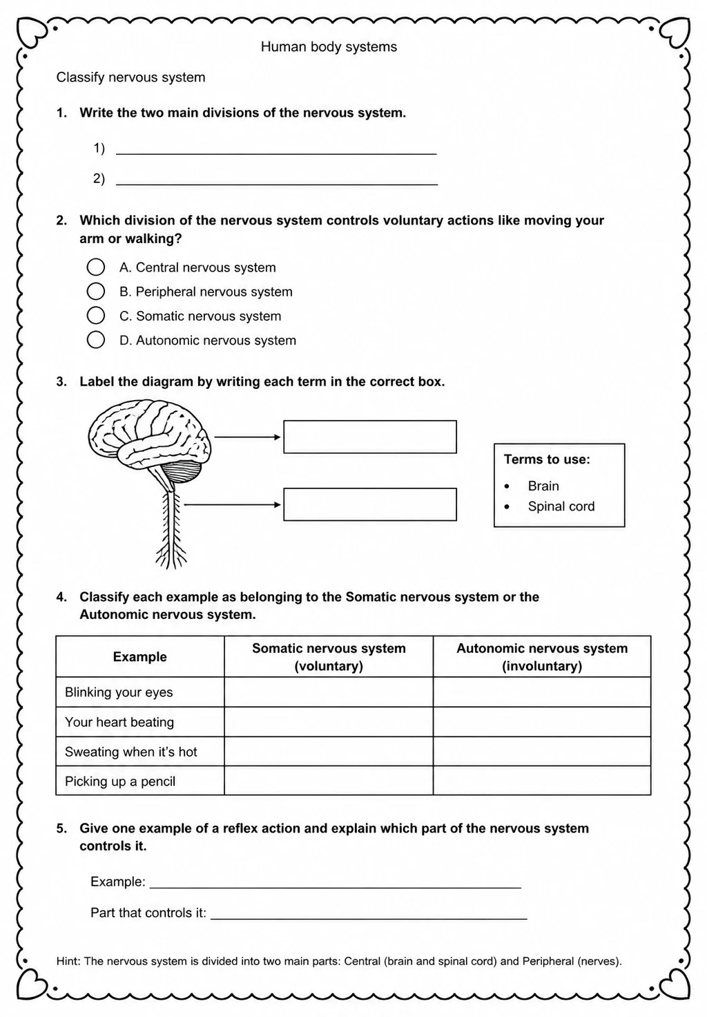 Classify nervous system