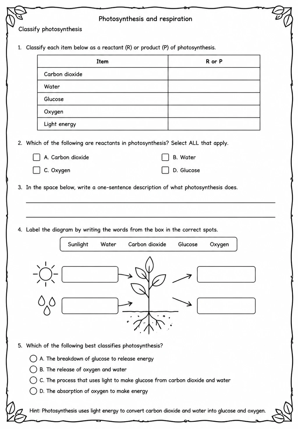 Classify photosynthesis