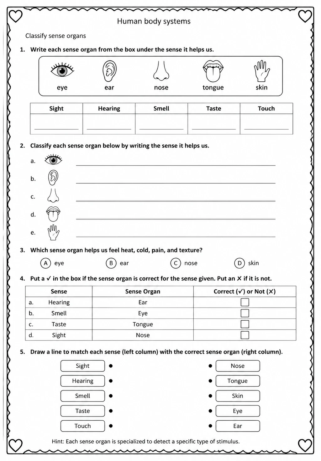 Classify sense organs