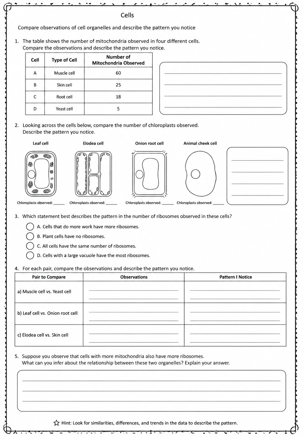 Compare observations of cell organelles and describe the pattern you notice