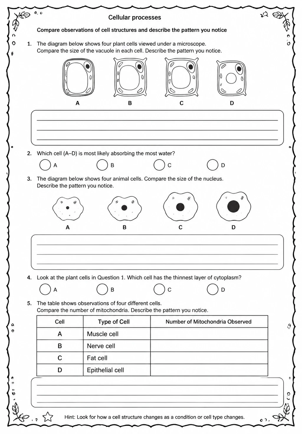 Compare observations of cell structures and describe the pattern you notice