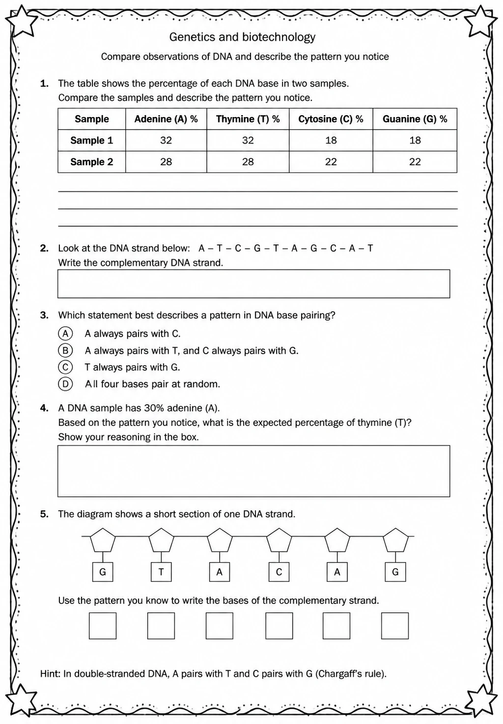 Compare observations of DNA and describe the pattern you notice