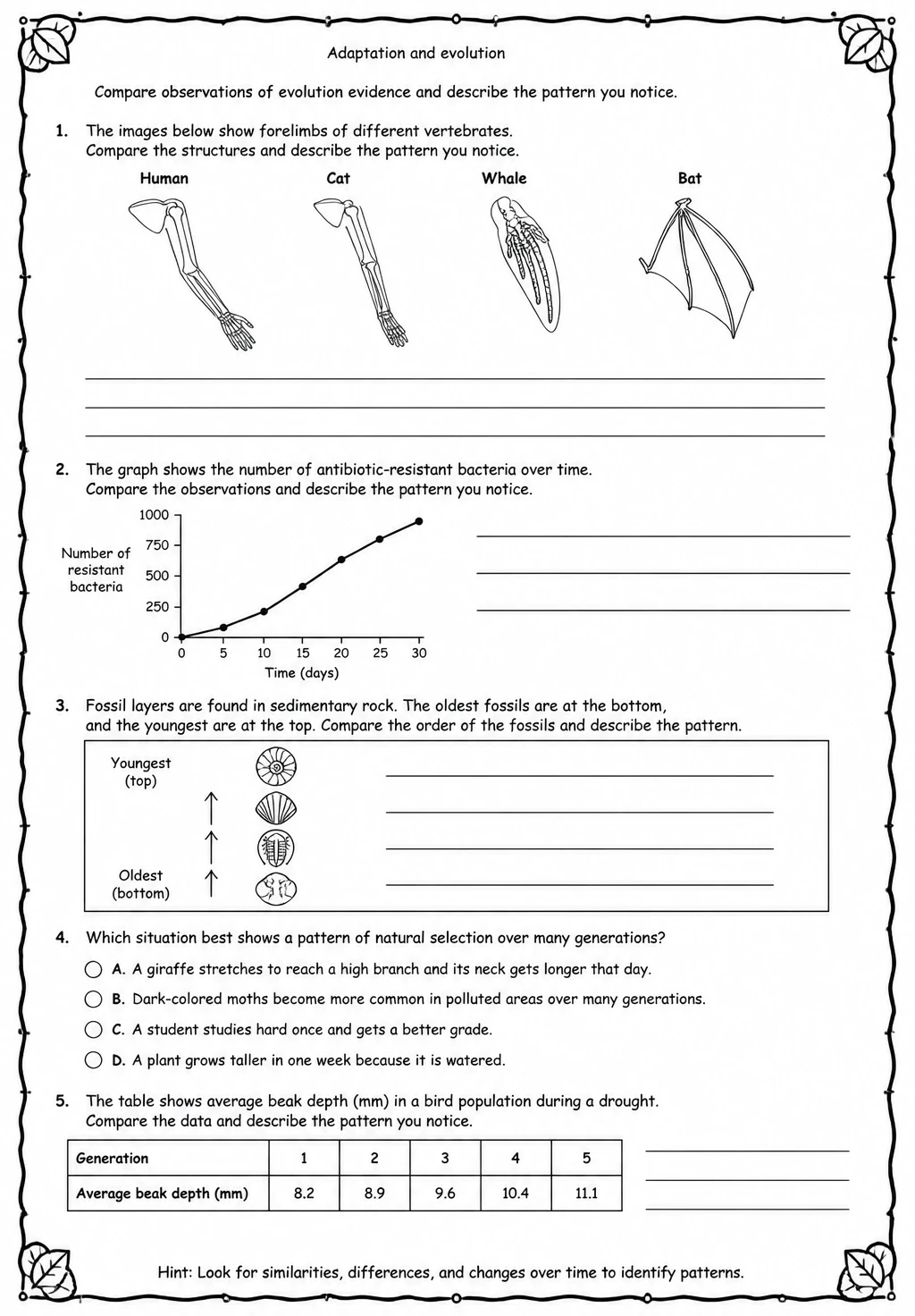 Compare observations of evolution evidence and describe the pattern you notice