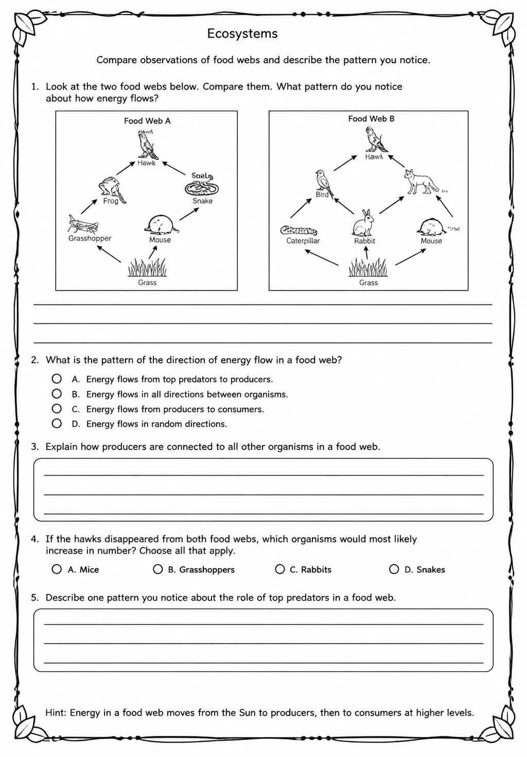 Compare observations of food webs and describe the pattern you notice