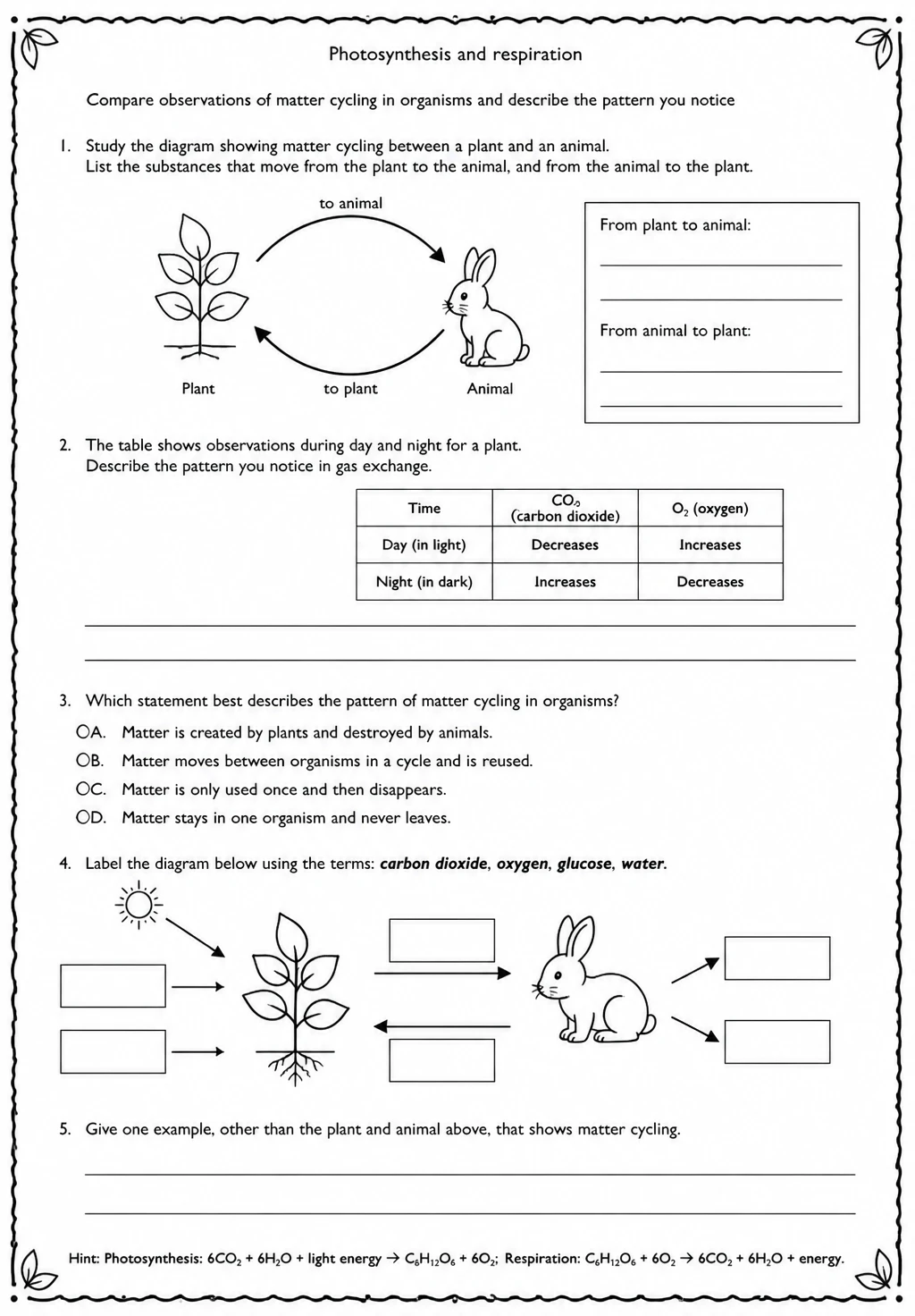 Compare observations of matter cycling in organisms and describe the pattern you notice