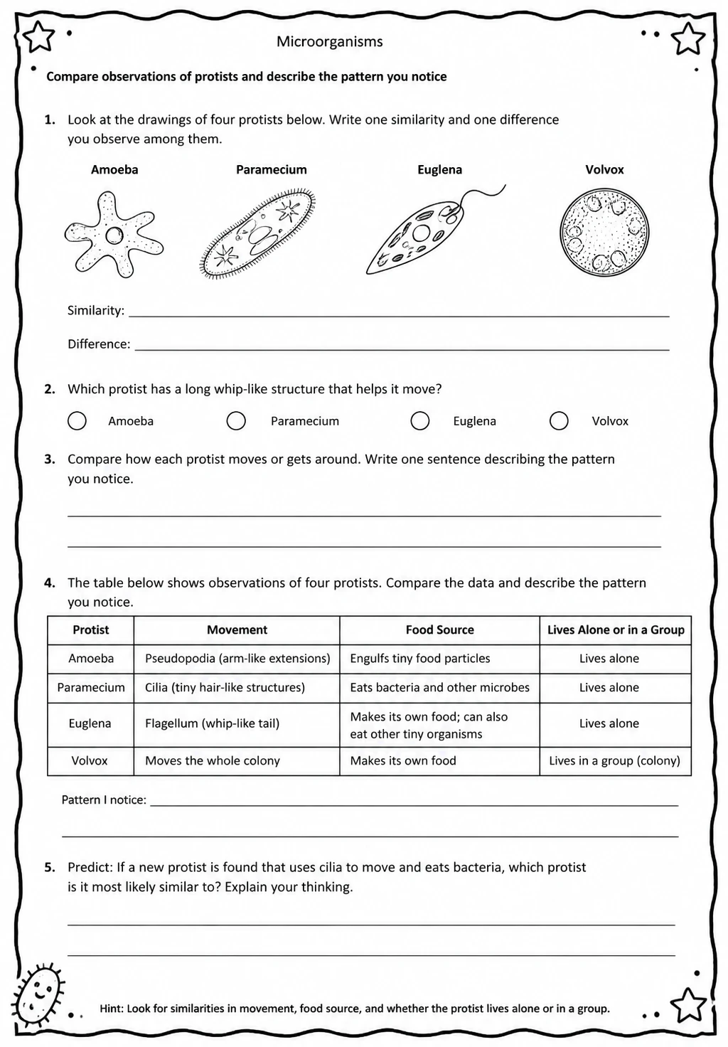 Compare observations of protists and describe the pattern you notice