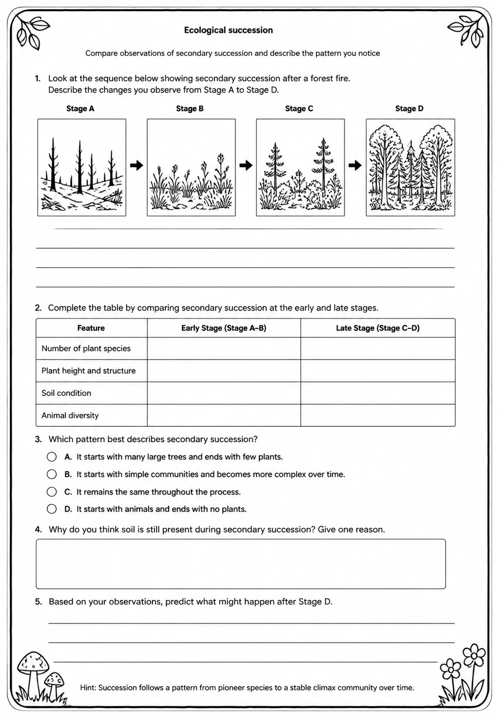 Compare observations of secondary succession and describe the pattern you notice