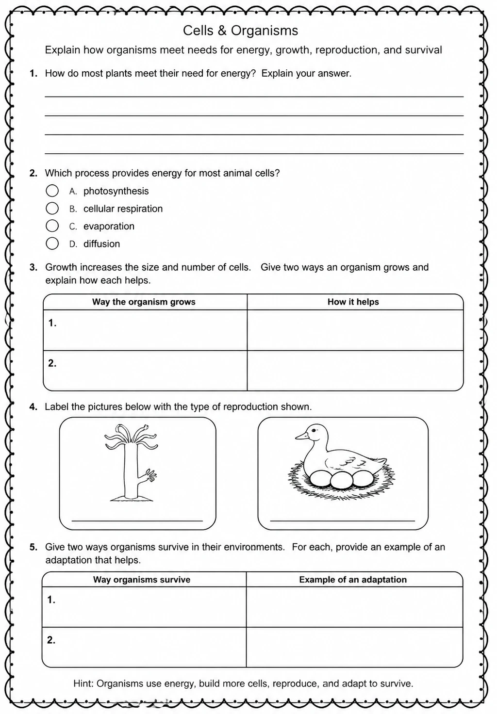 Explain how organisms meet needs for energy, growth, reproduction, and survival