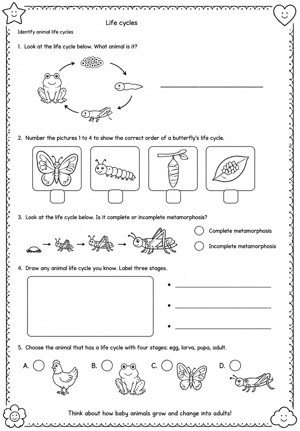 Identify animal life cycles