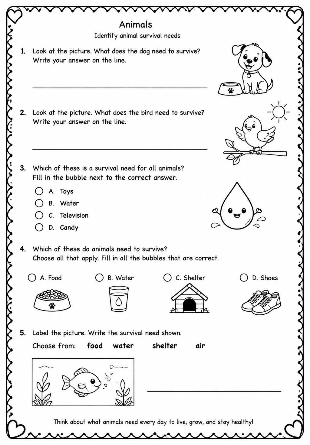 Identify animal survival needs