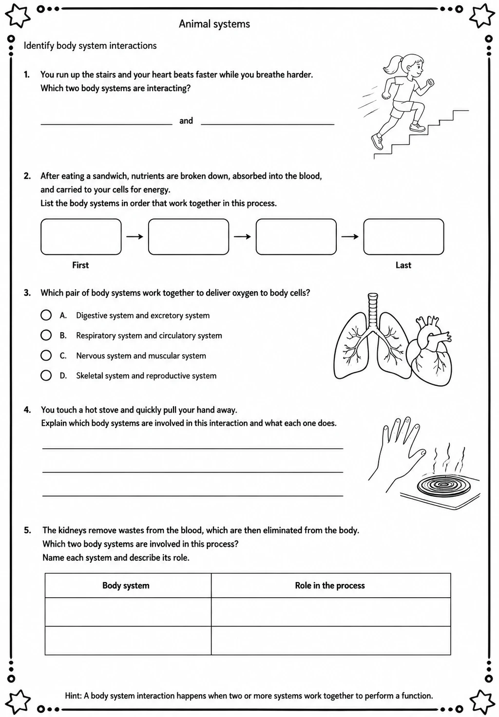 Identify body system interactions