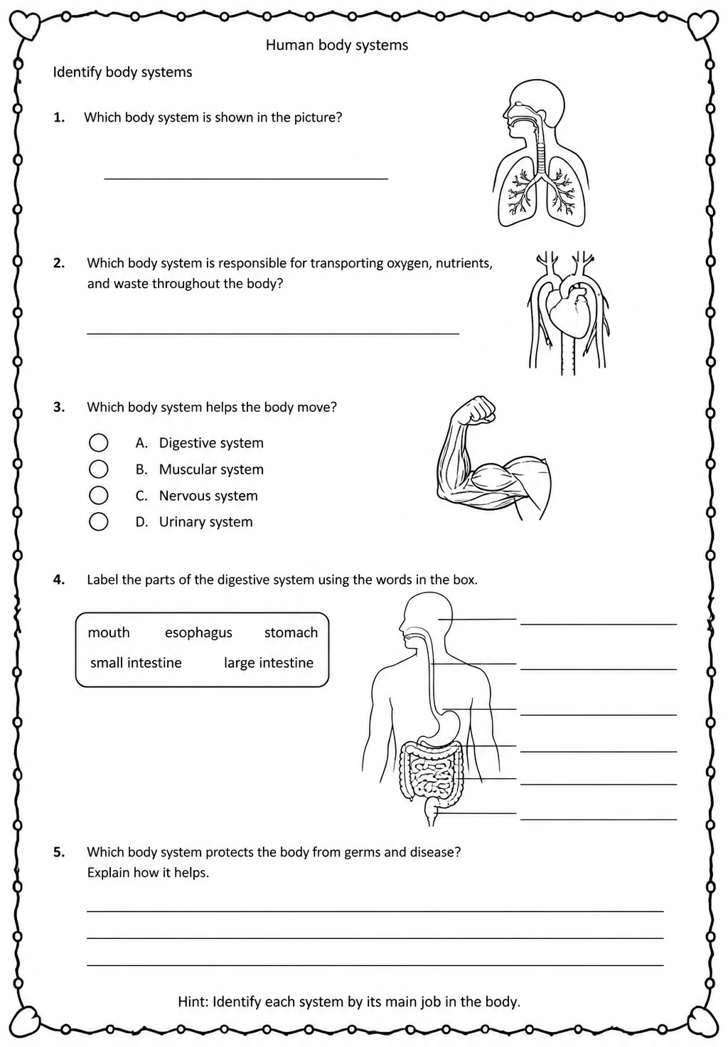 Identify body systems