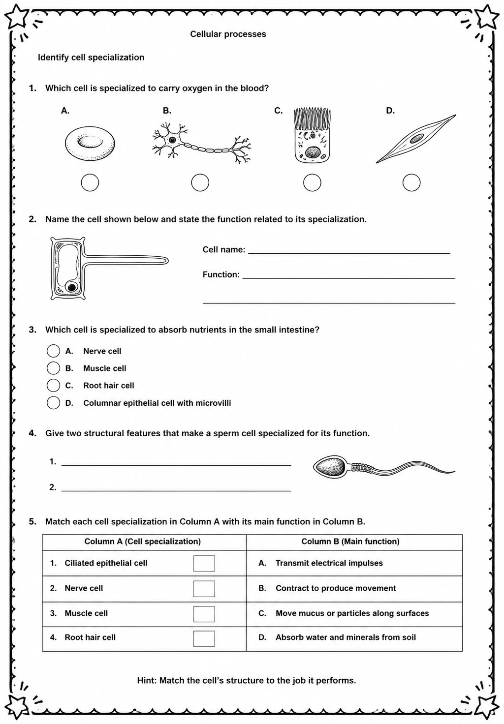 Identify cell specialization