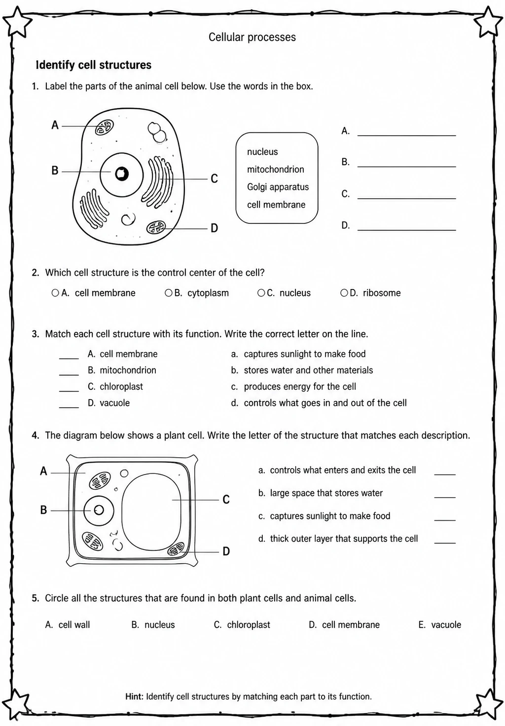 Identify cell structures