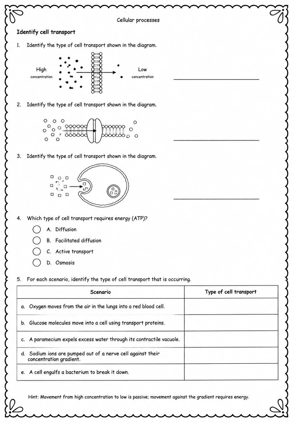 Identify cell transport