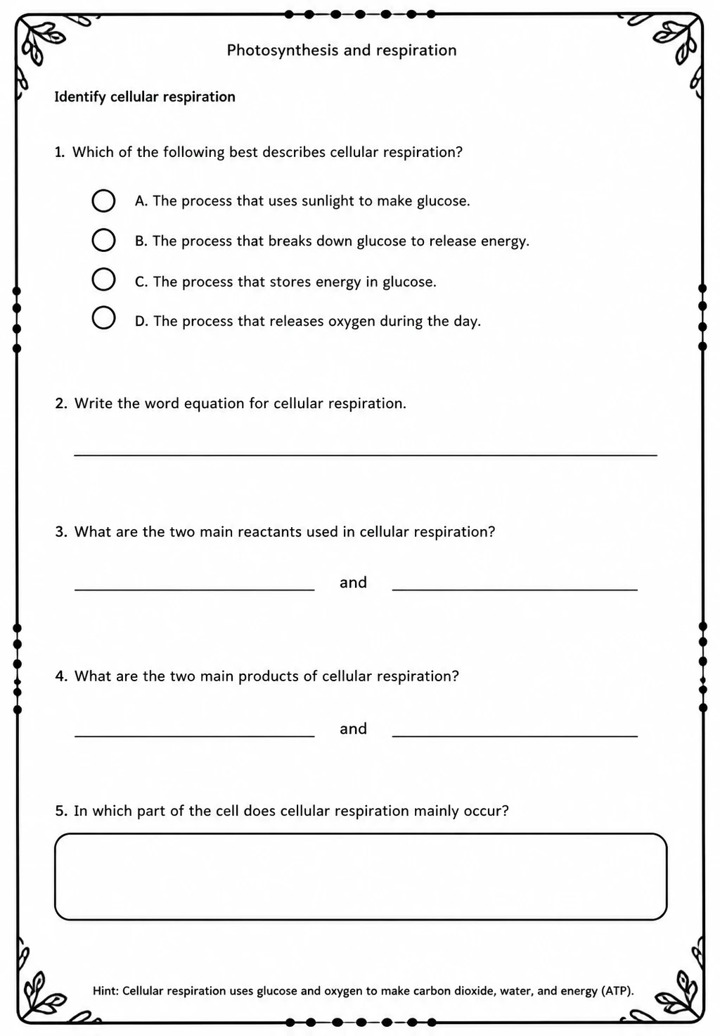 Identify cellular respiration