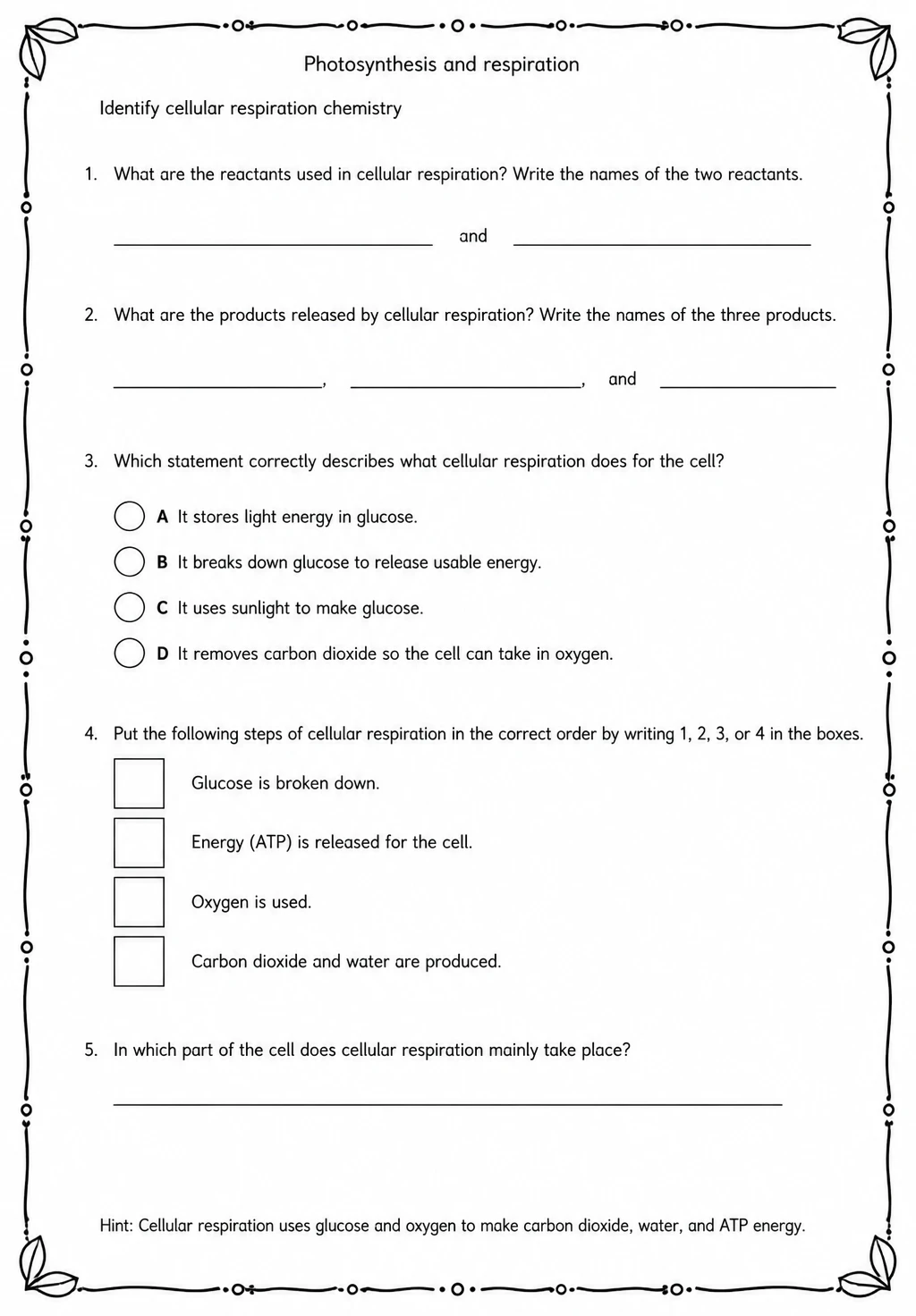 Identify cellular respiration chemistry