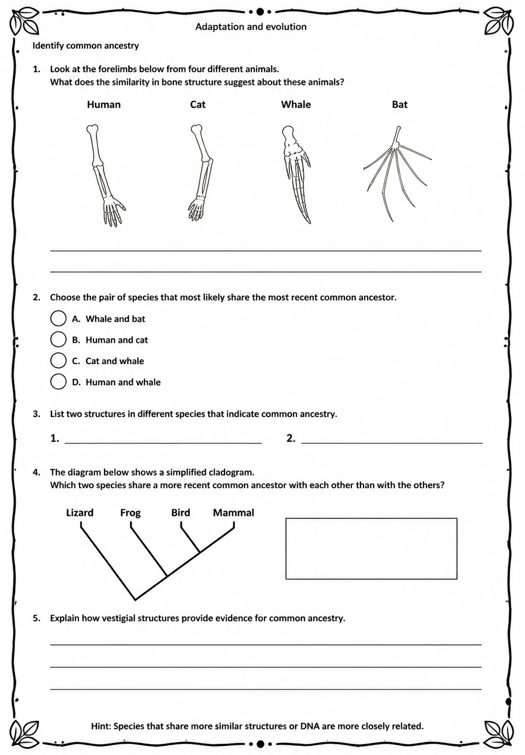 Identify common ancestry