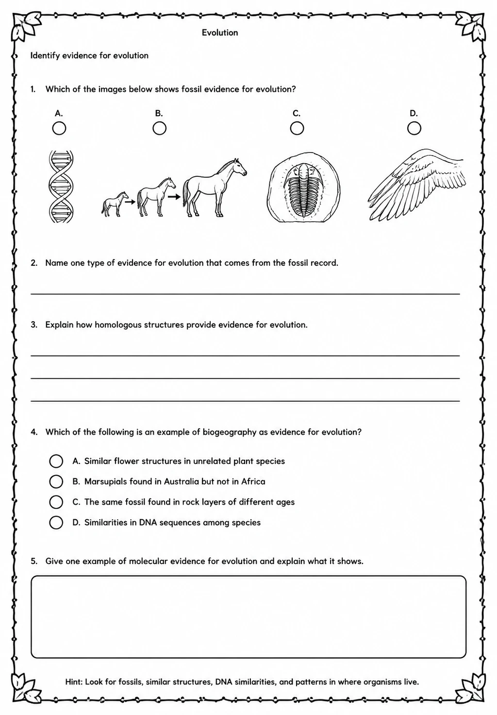 Identify evidence for evolution