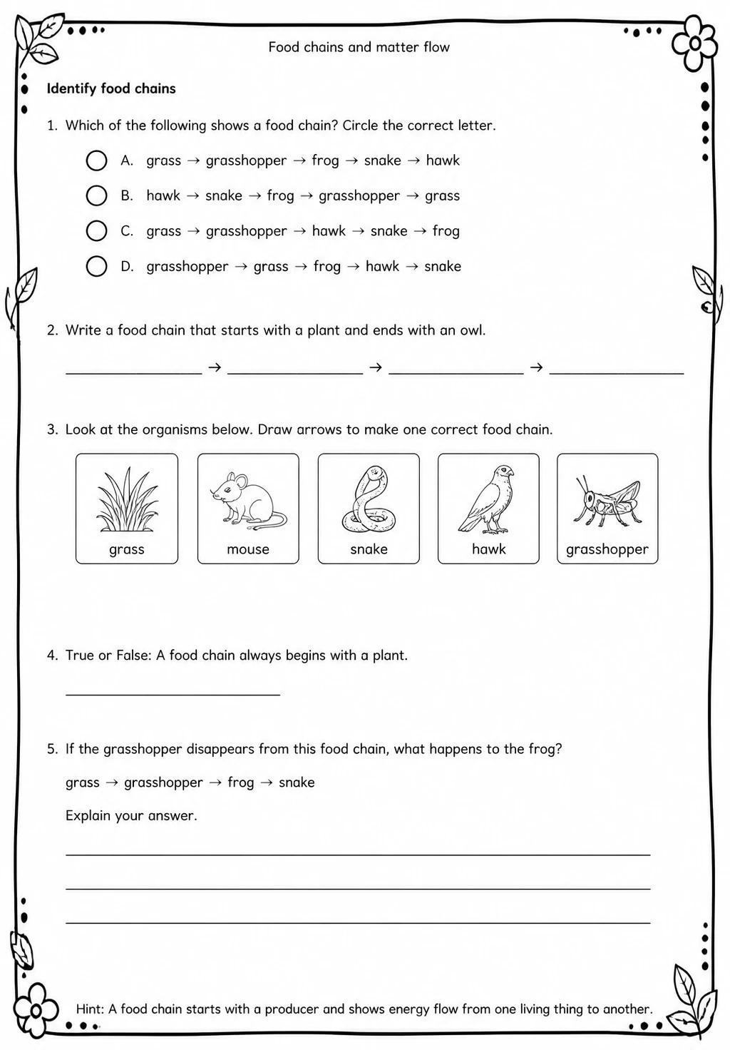 Identify food chains