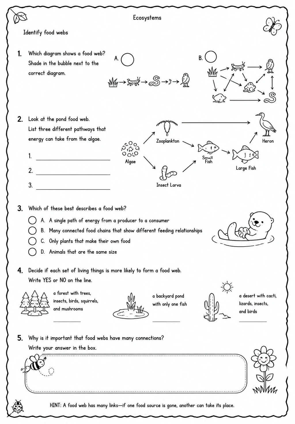 Identify food webs