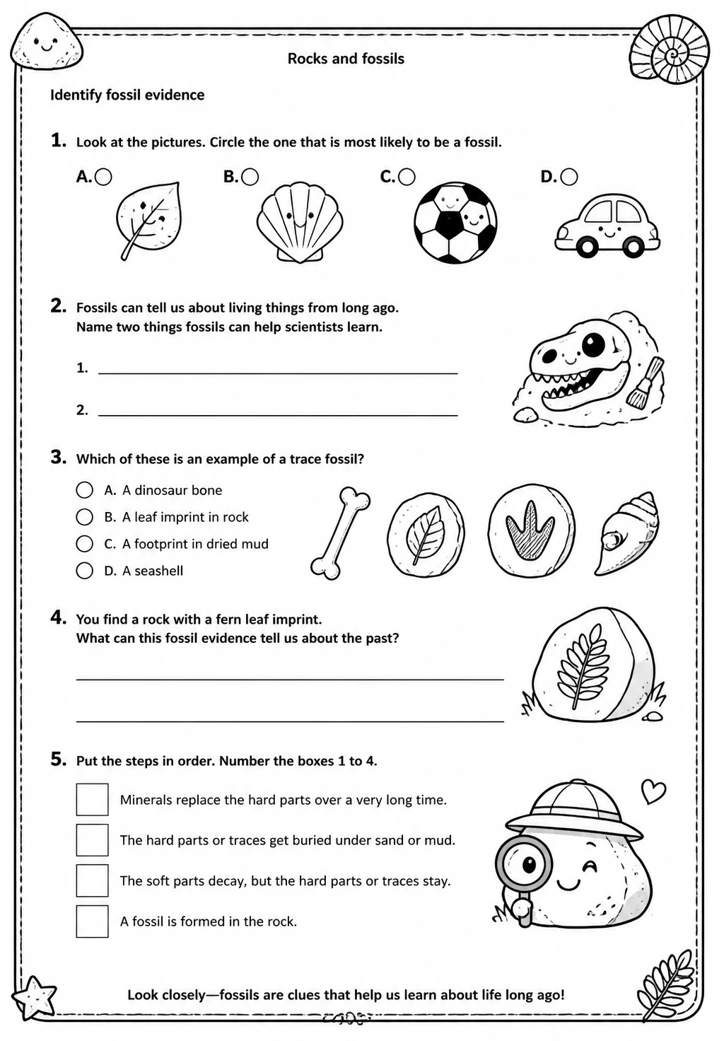 Identify fossil evidence