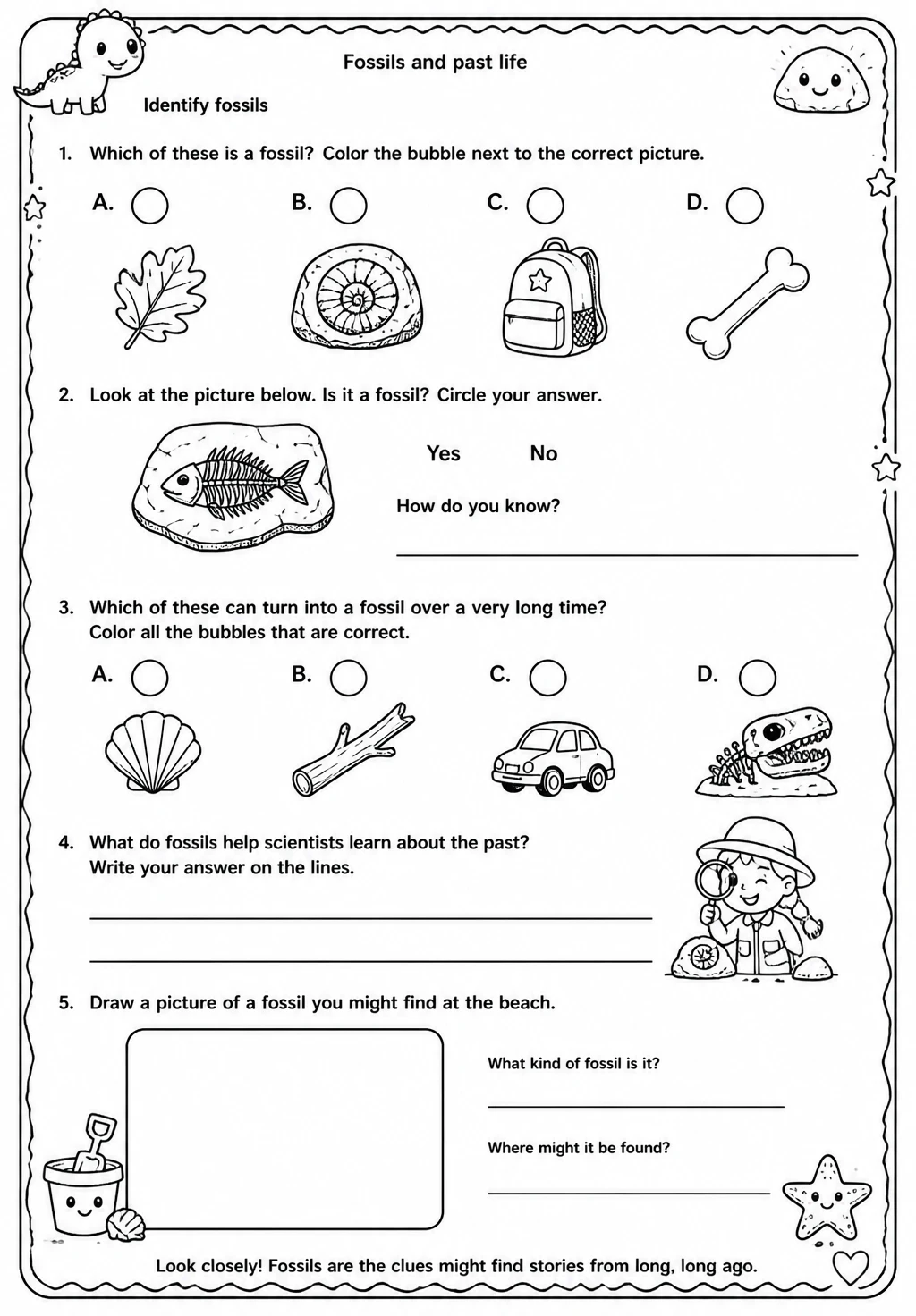 Identify fossils