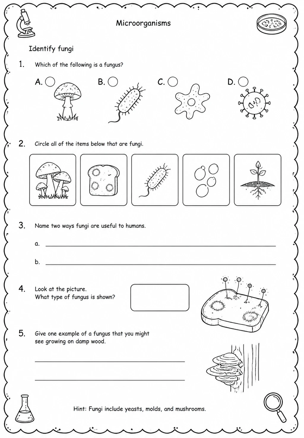 Identify fungi