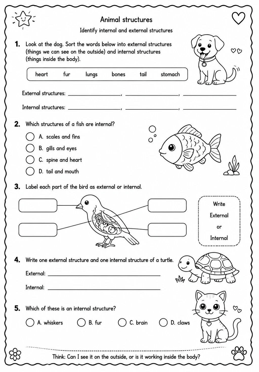 Identify internal and external structures