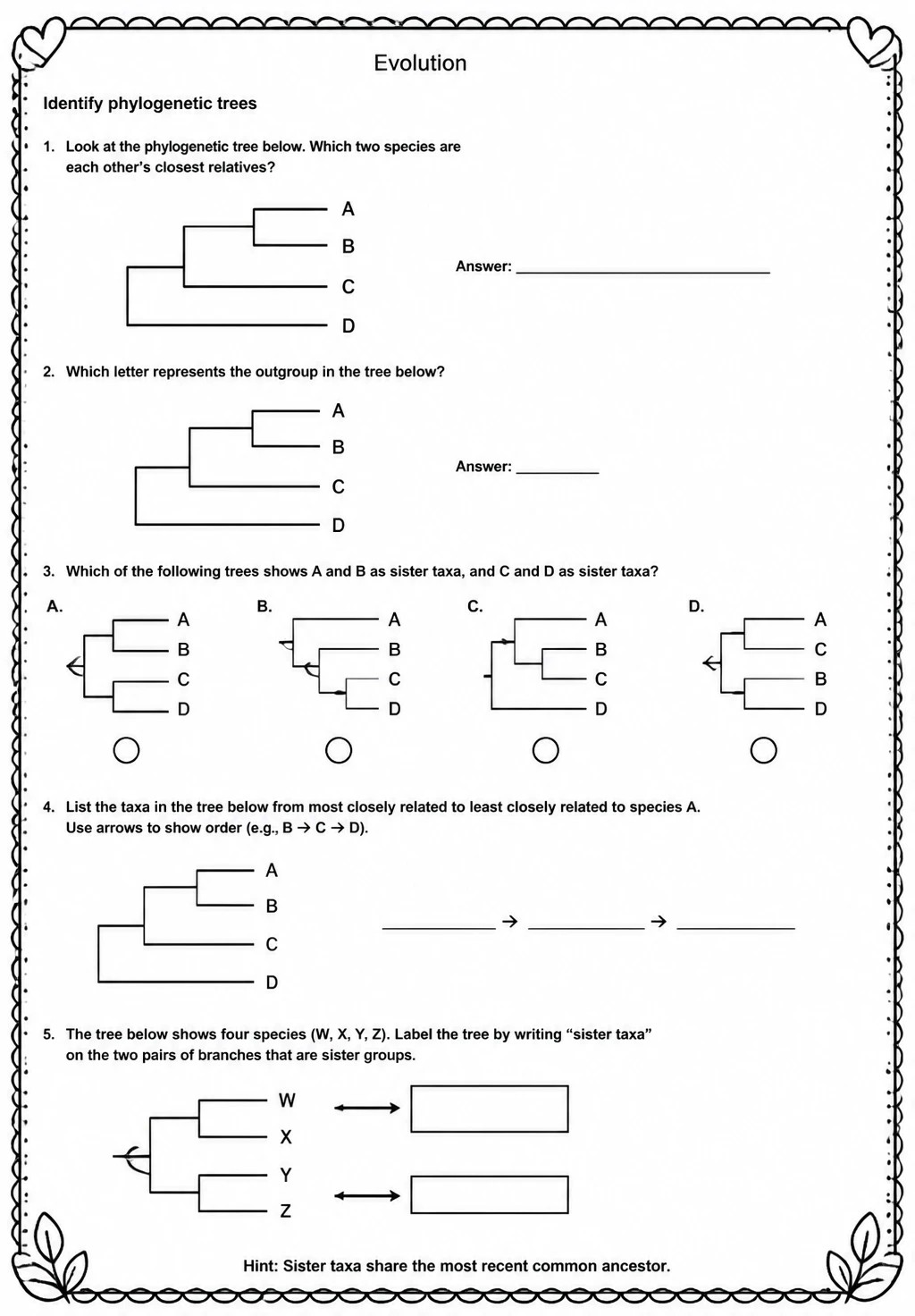Identify phylogenetic trees