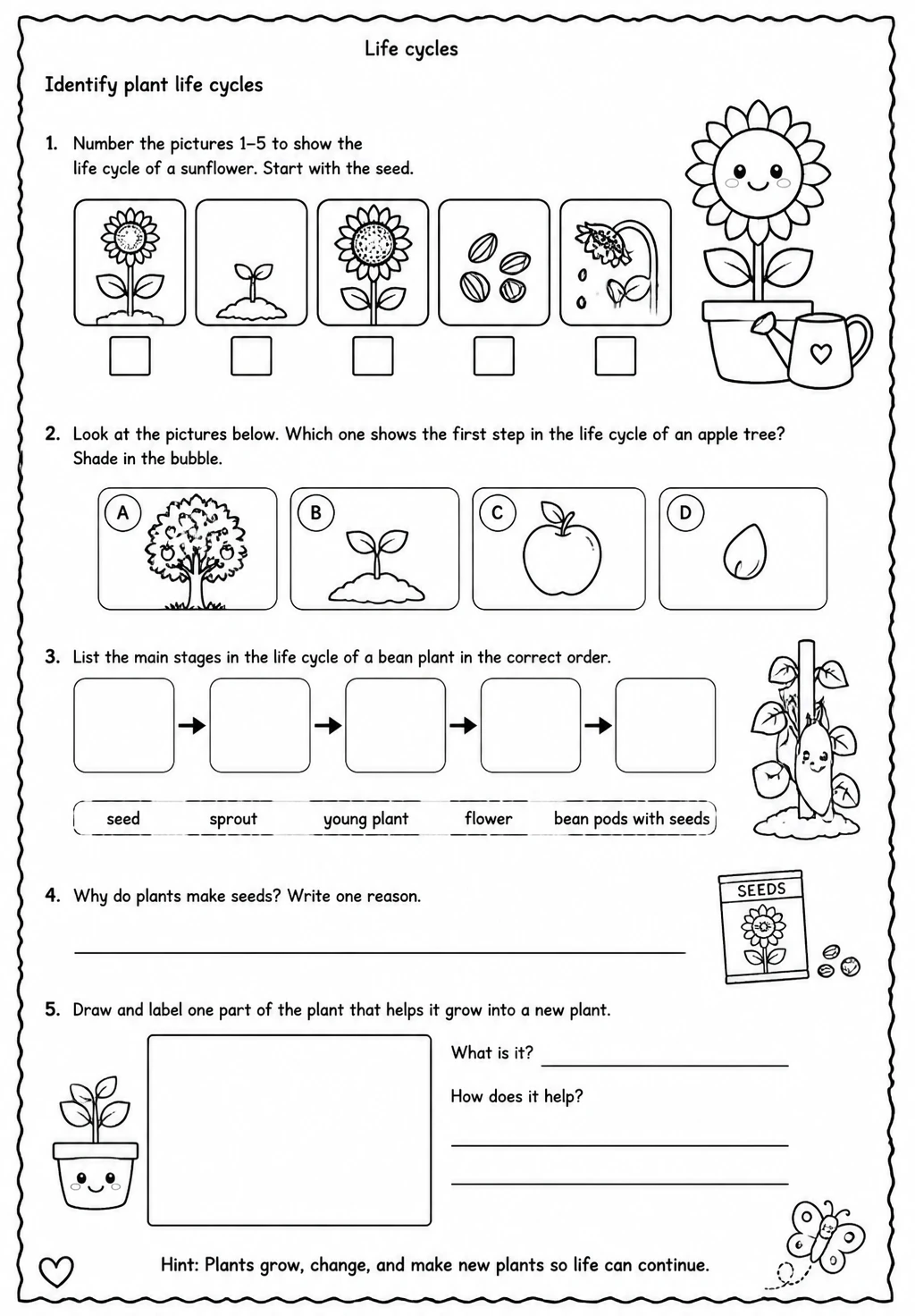 Identify plant life cycles