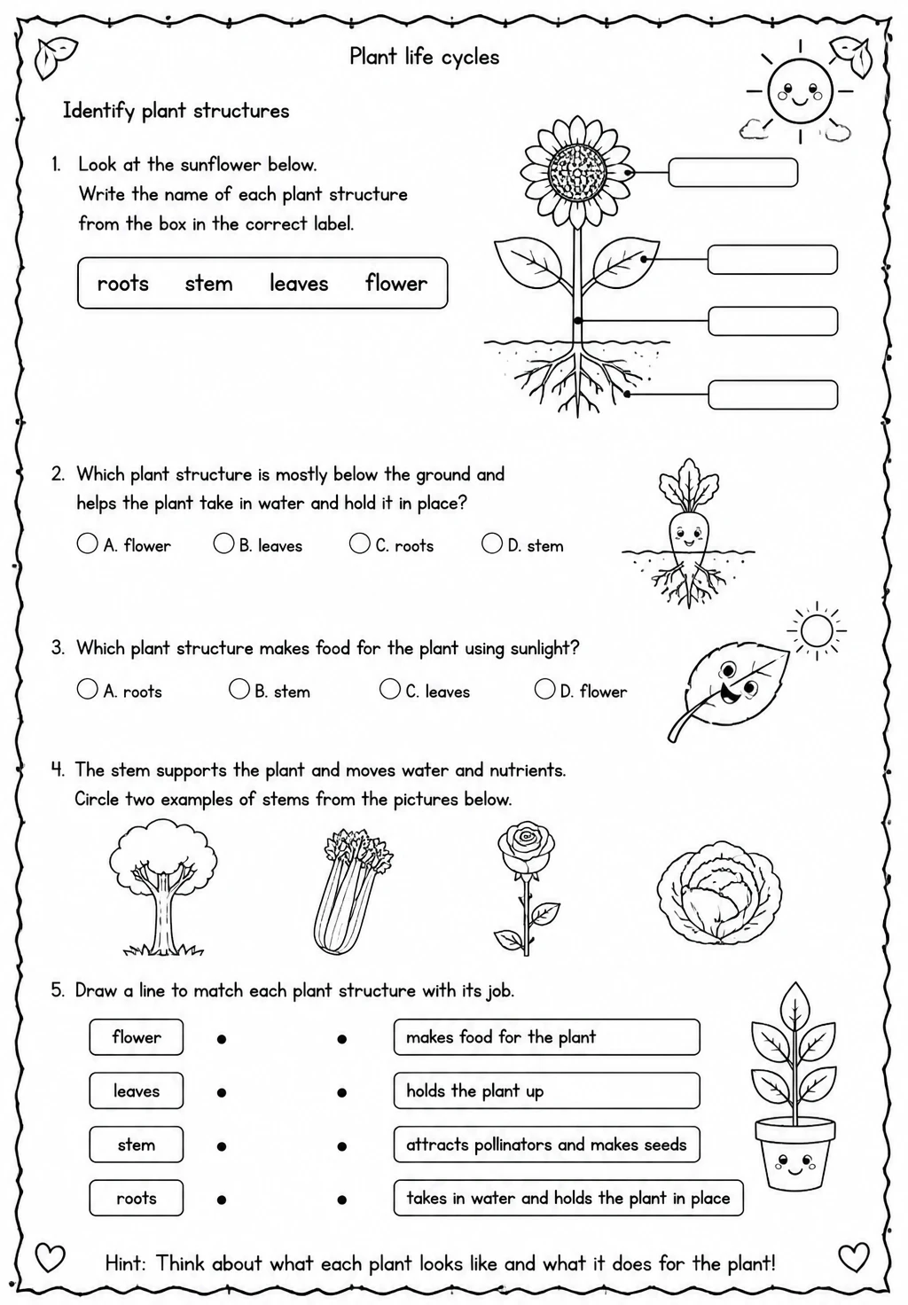 Identify plant structures