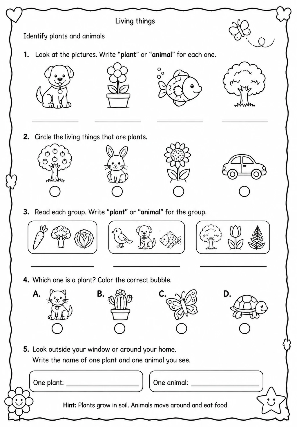 Identify plants and animals