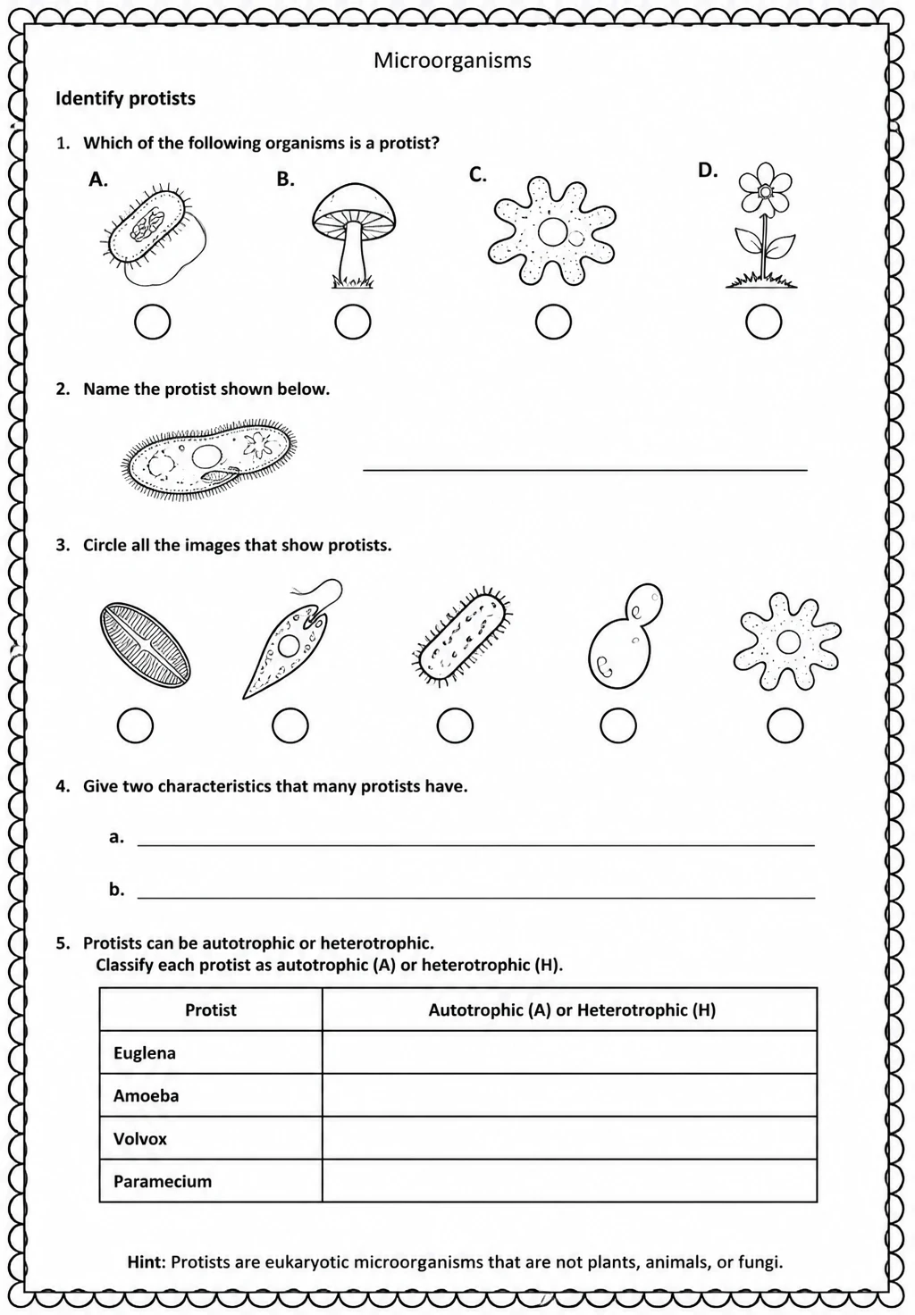 Identify protists