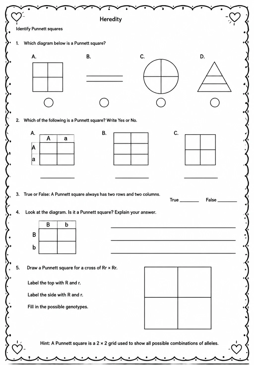 Identify Punnett squares