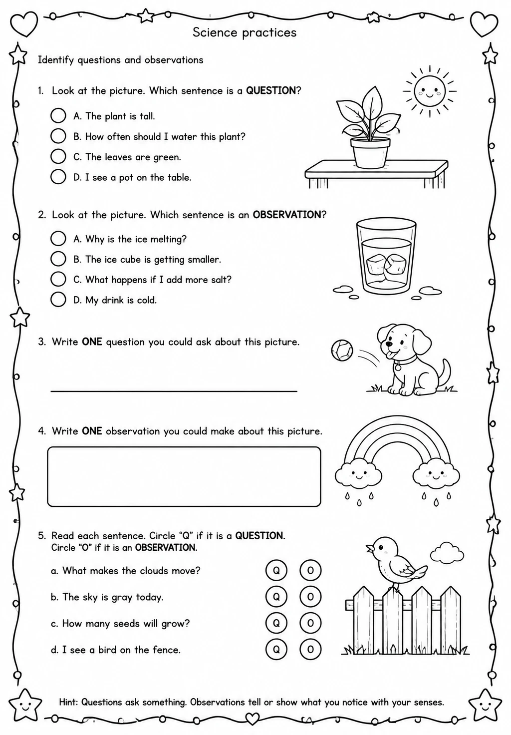 Identify questions and observations