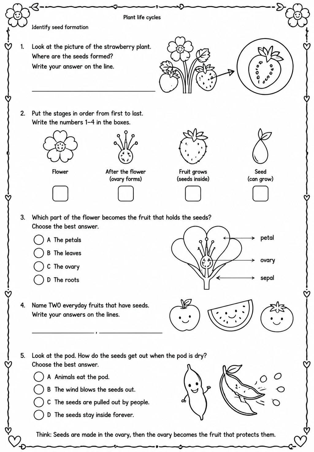 Identify seed formation