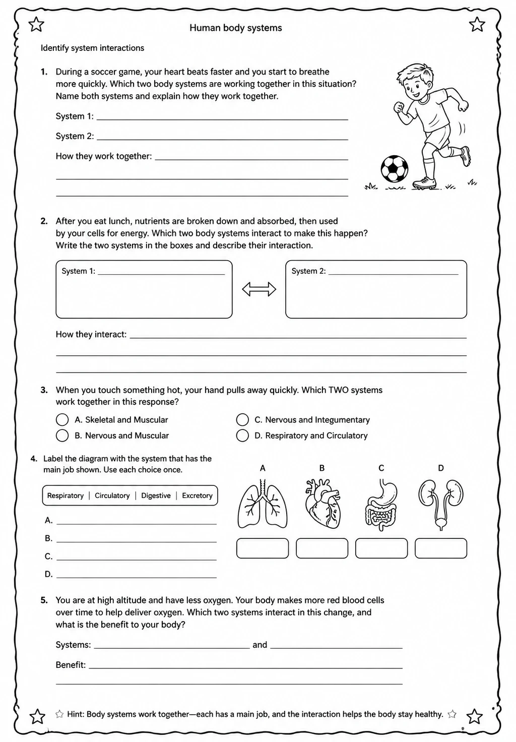 Identify system interactions