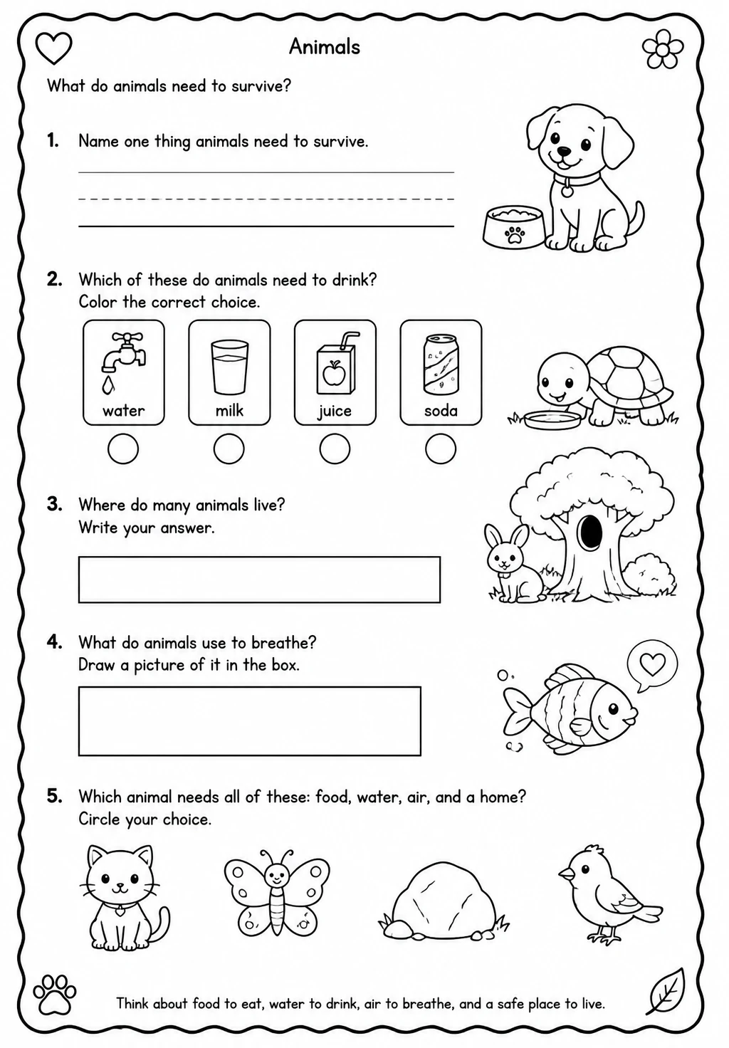 What do animals need to survive?