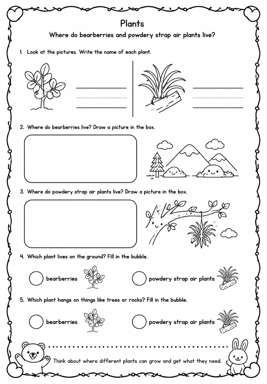Where do bearberries and powdery strap air plants live?