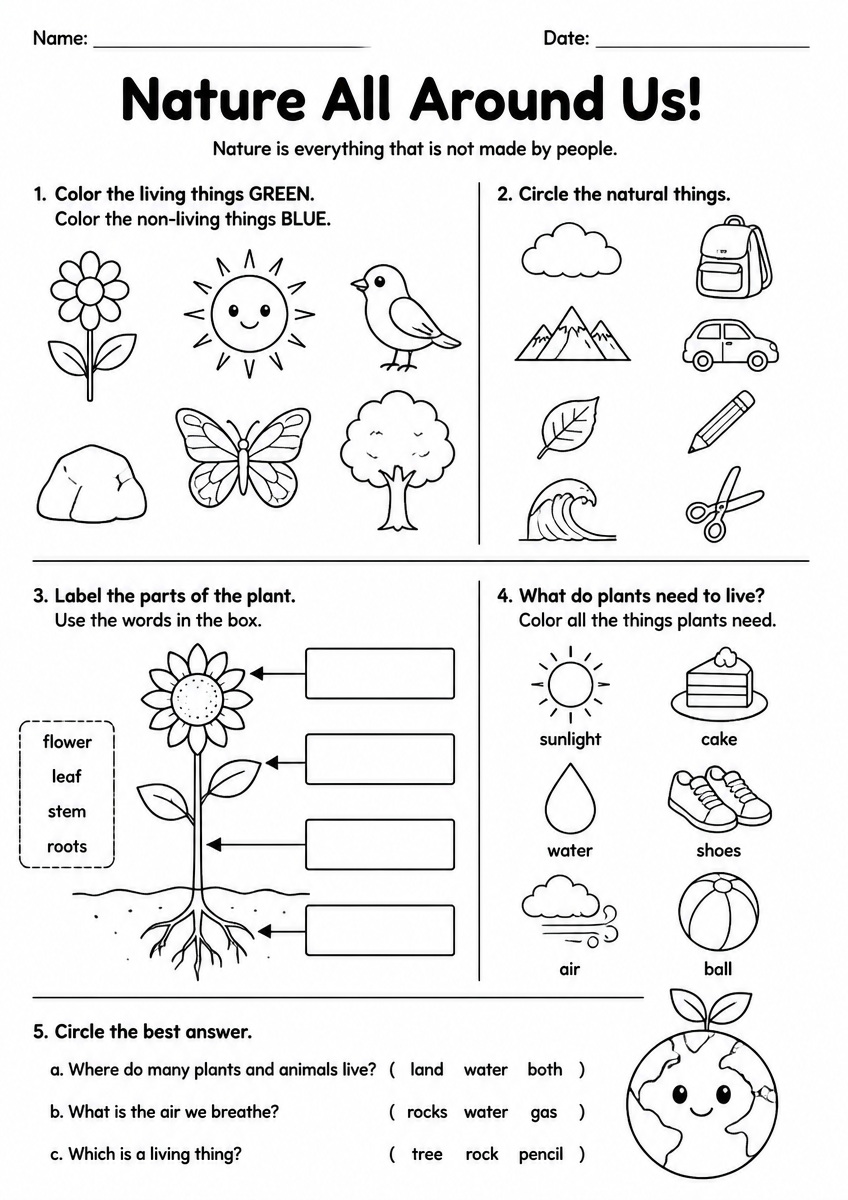 Free Printable Grade 2 Science Nature Worksheet