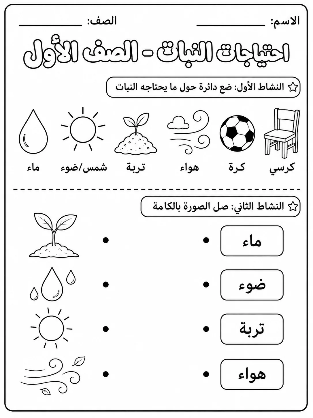 احتياجات النبات - الصف الأول