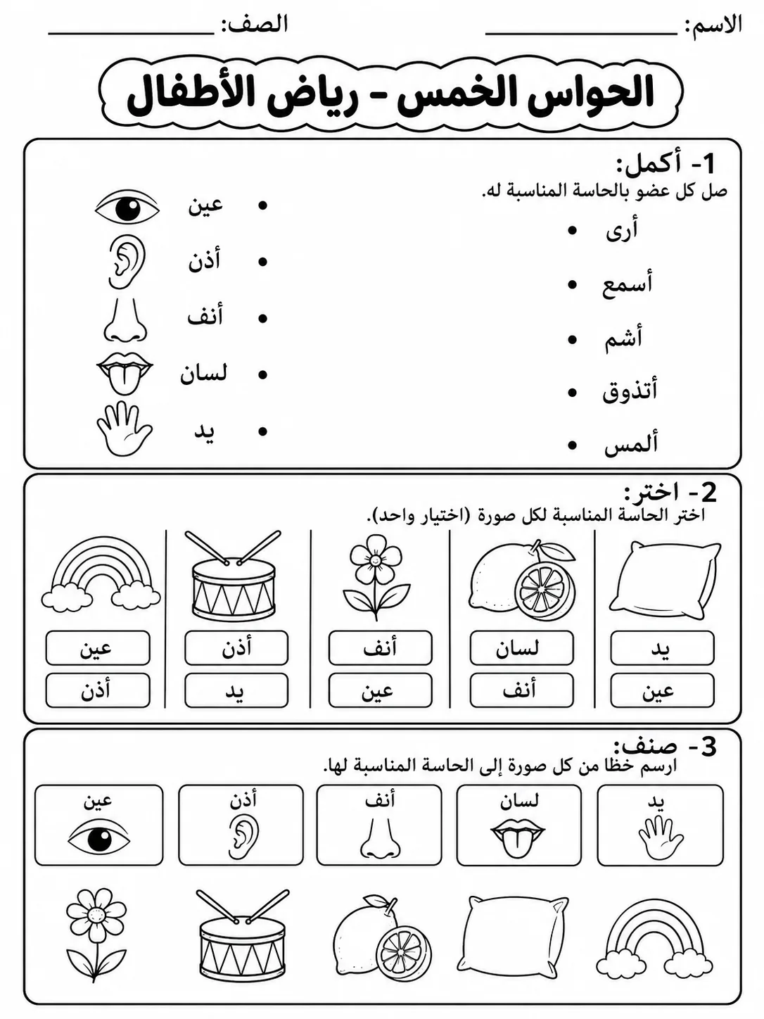 الحواس الخمس - رياض الأطفال
