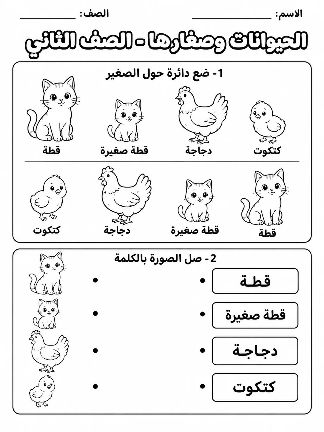 الحيوانات وصغارها - الصف الثاني