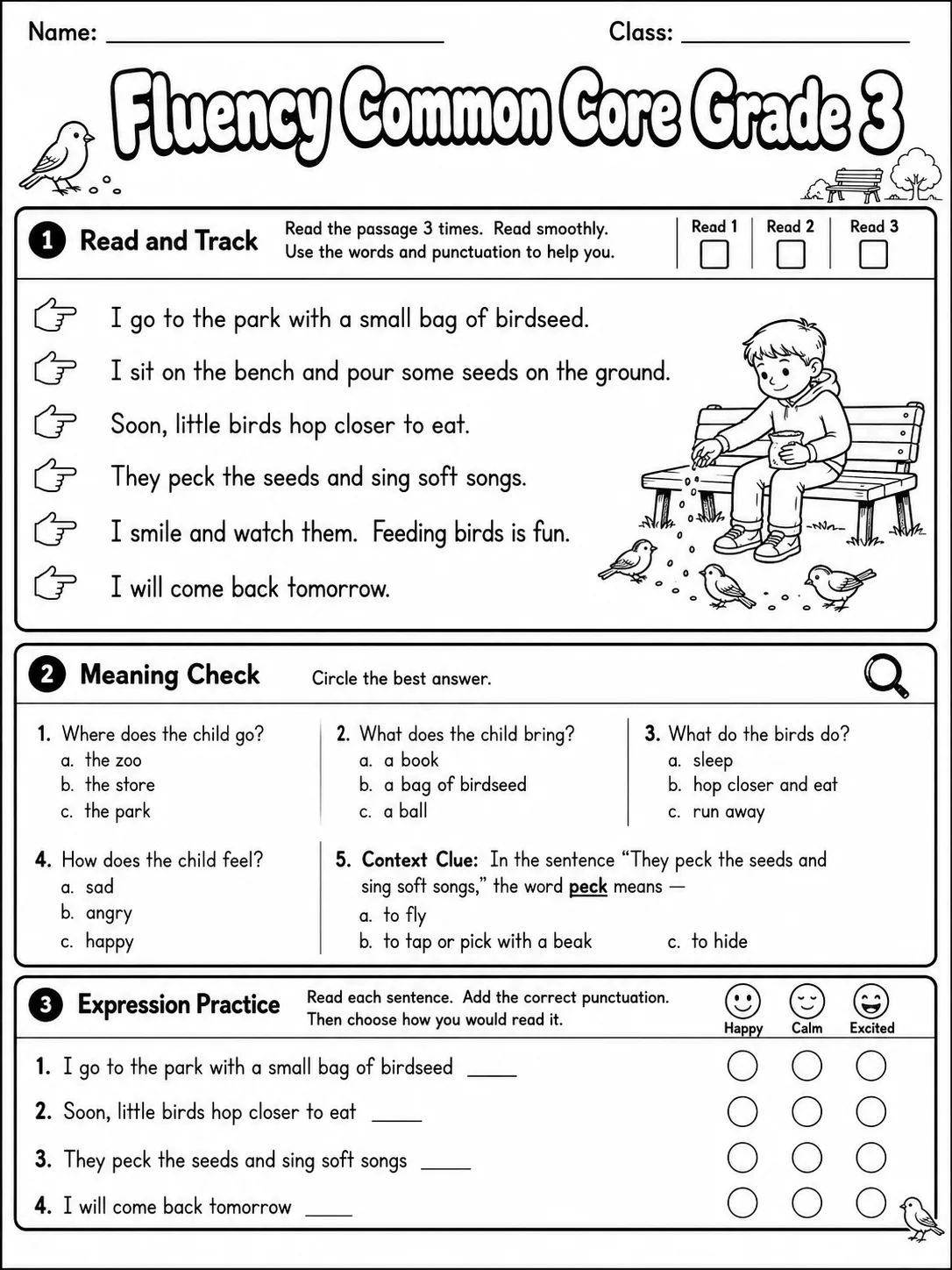 Fluency Common Core Grade 3