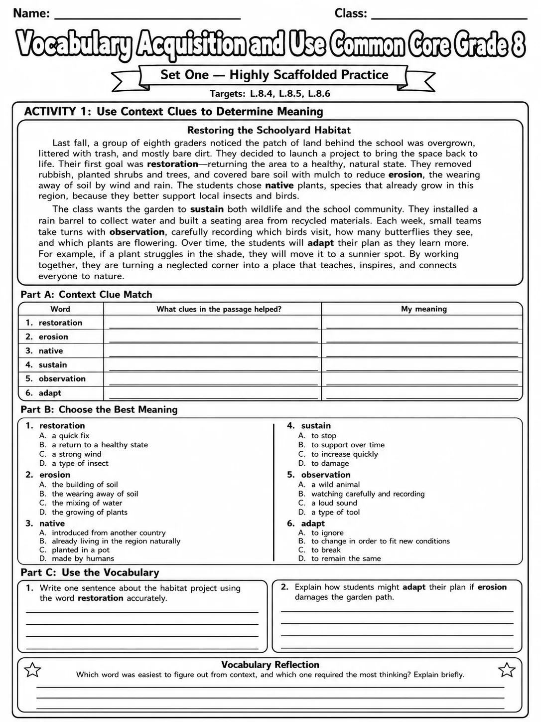 Vocabulary Acquisition and Use Common Core Grade 8